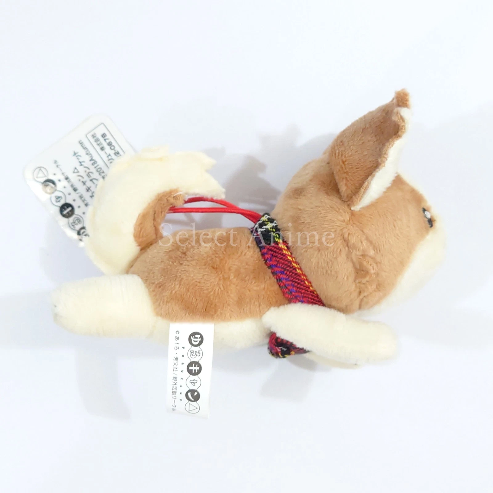 UNDERCOVER Laid Back Camp Chikuwa Vestito Peluche Mascotte Società Segreta Coperta Introdu...