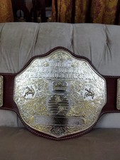 Big Gold Dual Wrestling World Championship Replica Adult Title Belt 6mm Diecast.