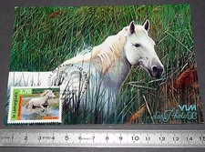 CARTE POSTALE 1er JOUR PHILATELIE 1998 CHEVAUX CHEVAL CAMARGUAIS CAMARGUE