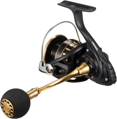 Daiwa 23 BG SW 4000D-CXH Spinning Reel Ambidextrous JAPAN NEW | eBay