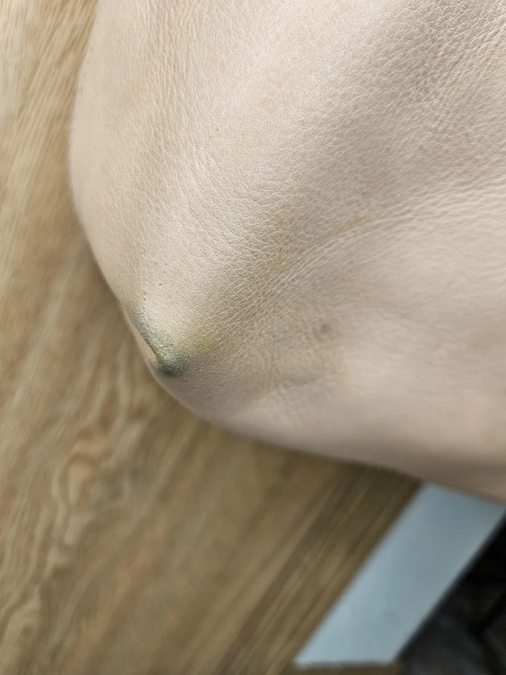 Madewell IVORY/Tan Leather Double Handles Large Tote Shoulder Bag Purse - Image 4 of 4