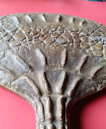 Antique Victorian Naturalistic Faux Alligator Vanity Hand Mirror  - Afbeelding 2 van 10