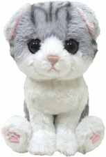 Sun Lemon Kitten Cat Plush Doll Gray Scottish Fold P-4212 From Japan