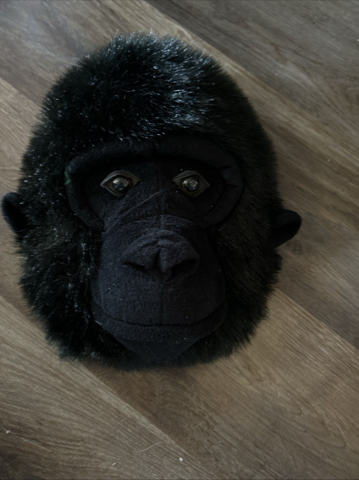 Picture 1