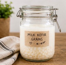 Milk Kefir Grains Starter Culture with Instru...