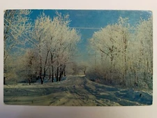 Postcard Adirondack Winter Wonderland New York Snow