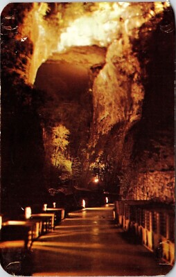 Natural Bridge Virginia State Flag Dawning Of World Performance Chrome Postcard