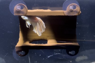 fish hiding accessories Betta Cave Hammock or Reptile Hide Betta Aquarium Cave Decoration Hide