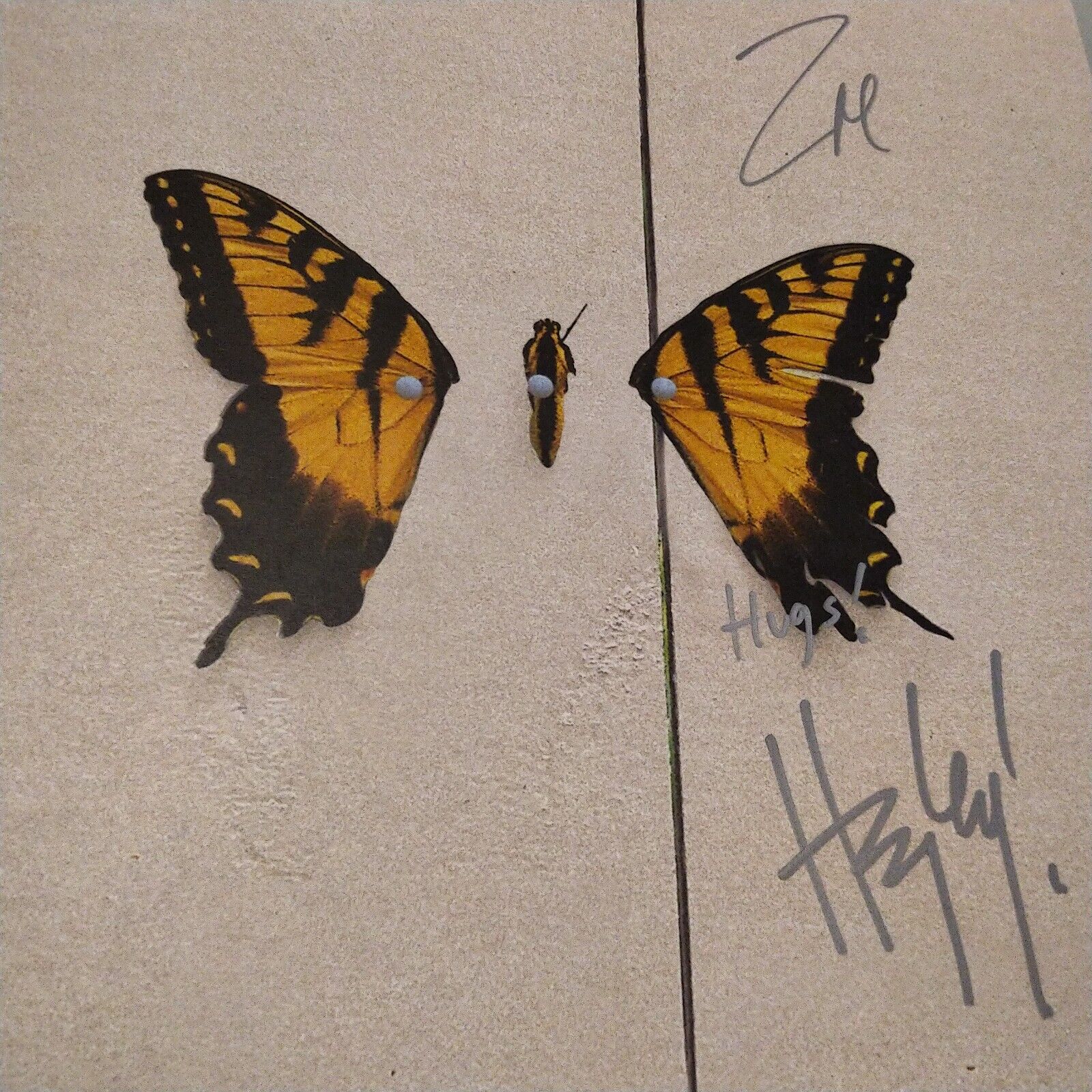 Picture 1 of 3