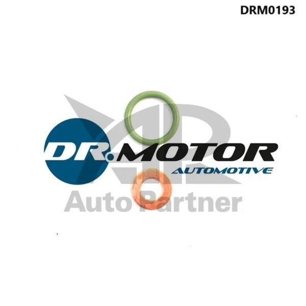 Dr.Motor Automotive Dichtungssatz EinspritzdüSe FüR Renault Master II Kasten-image