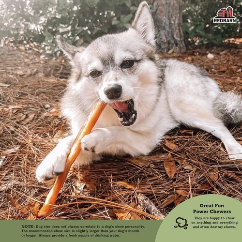Redbarn Natural Large Collagen Sticks for Dogs - Long Lasting Alternative to... - Picture 7 of 7
