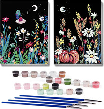2 Pack Paint by Numbers Kit for Adults Paint by Number Kit for Kid Canvas DIY