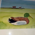 Foto 9 di 11