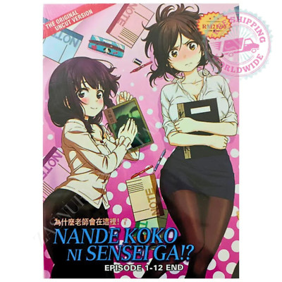 Why the Hell are You Here, Teacher!? ( UNCUT ) - Japanese Anime COMPLETE SERIES