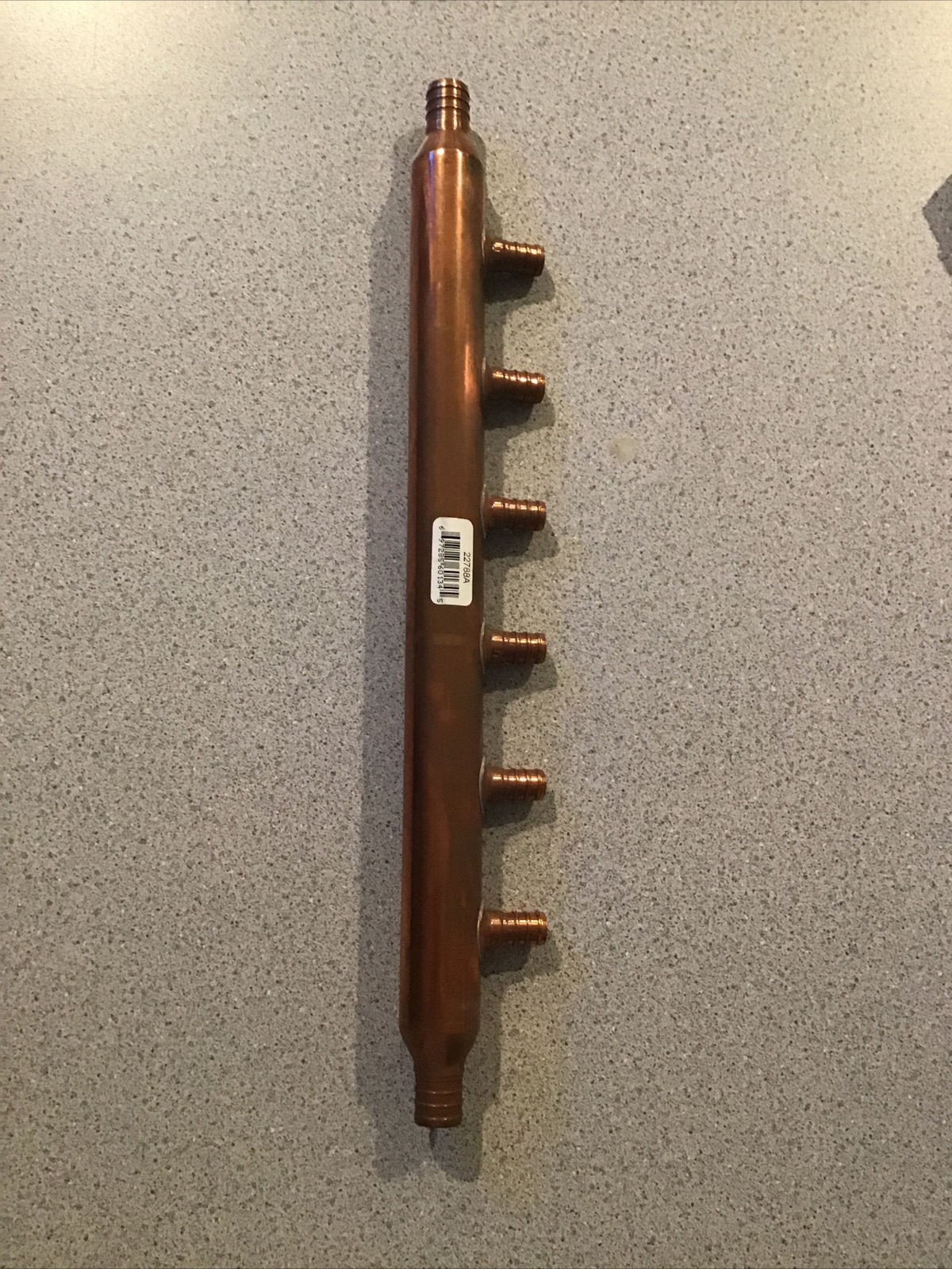 Picture 5 of 6