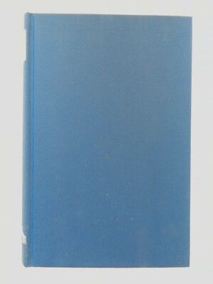 Joyce Carol Oates Hudson River Roman Fischer Verlag Buch