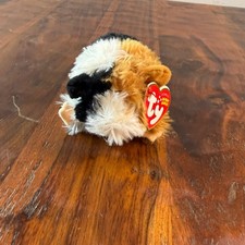 Ty Beanie Babies Patches the Guinea Pig Black White Tan Plush 2009 40810
