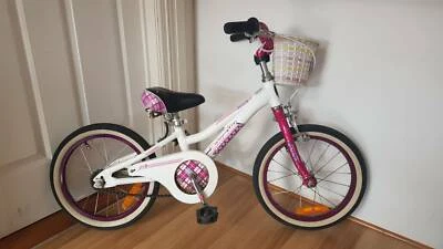 malvern star cruisestar 16