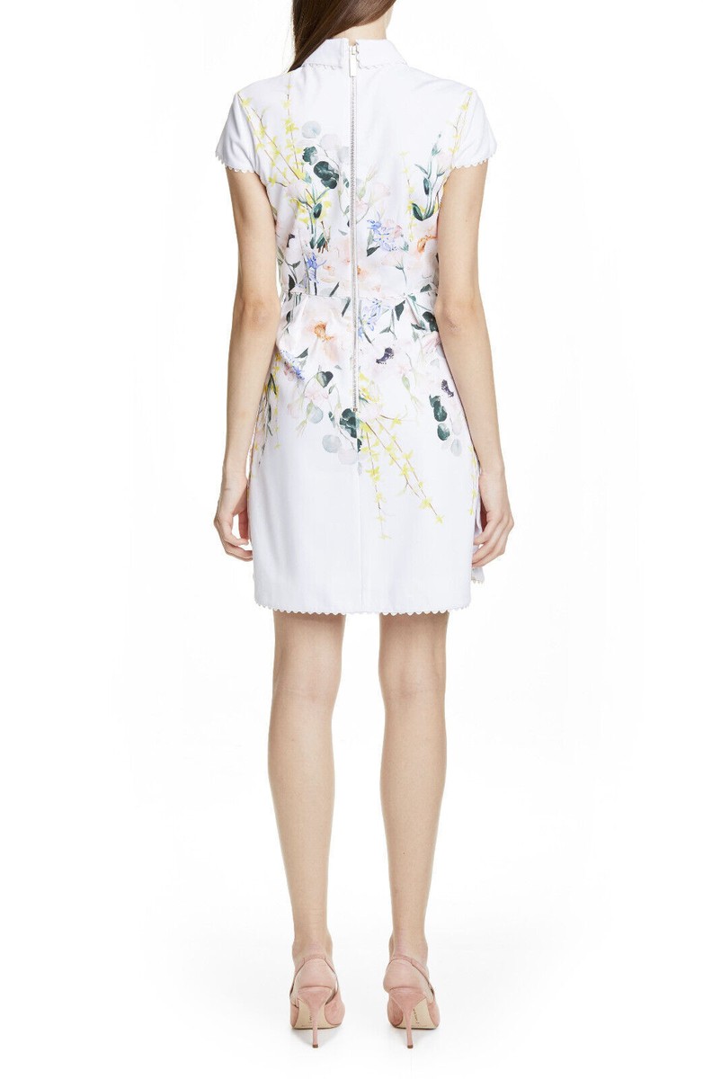 TED BAKER Charsy Elegance floral print collar A-line fit&flare