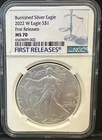 2022-W  Burnished Silver American Eagle NGC MS 70 First Releases