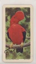 1964 Brooke Bond Red Rose Tropical Birds Tea Canadian Black Back #33 9aj