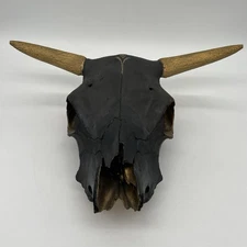 Real Longhorn Steer Skull Black Gold Painted Western Wall Decor – Fast Shipping!