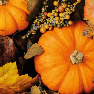 Servietten Kürbisse - Fall Pumpkins - Halloween 20 Stück - NEU