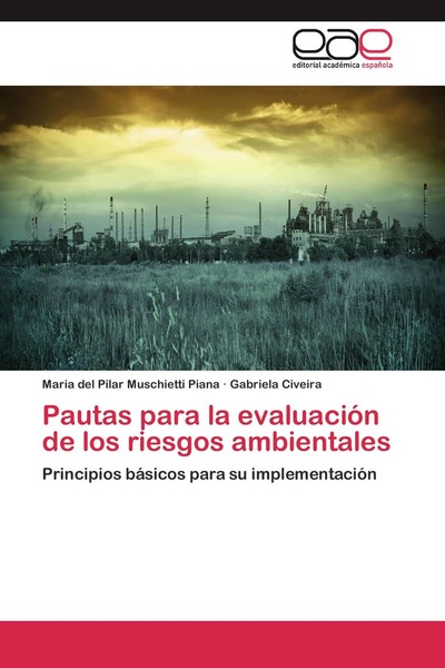 Pautas Para La EvaluacióN De Los Riesgos Ambientales Maria Del Pilar Muschietti-image