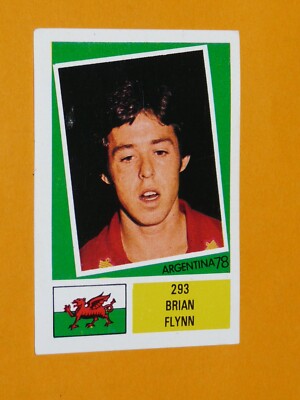 #293 FLYN WALES GALES EDUCATIONAL FOOTBALL ARGENTINA 78 WORLD 1978