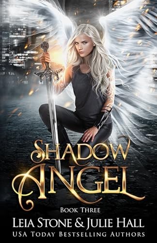 Shadow Angel: Book Three - Stone, Leia