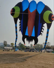 7sqm soft kite 3D Huge Soft Giant Trilobites Kite Outdoor Sport Easy to Fly