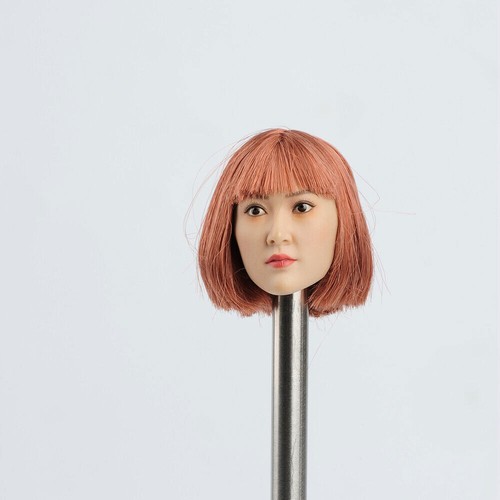 1:6 Asia Europe Girl Man Head Sculpt For 12"Female Male PH HT Action Figure Body - Picture 55 of 71
