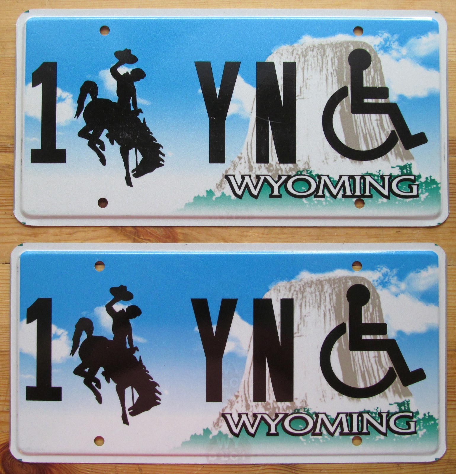 Wyoming 2009 NATRONA COUNTY HANDICAPPED License Plate SUPERB QUALITY