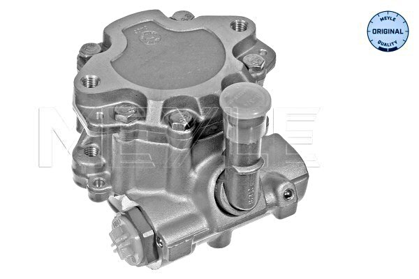 MEYLE Steering System Hydraulic Pump For AUDI A3 SEAT SKODA VW 96 