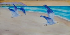 "Fly By" Original Watercolor RAMfish Artist Sea Gull San Clemente Beach 16" X 8"