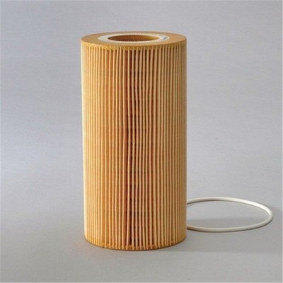 LF16233 For DAF Engine Oil Filter 1948921PE,P550812,LP6043