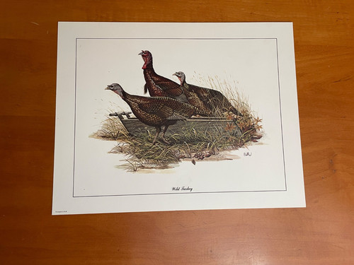 Wild Turkey Wildlife Don Balke Lithograph Print vintage 1978 11x14