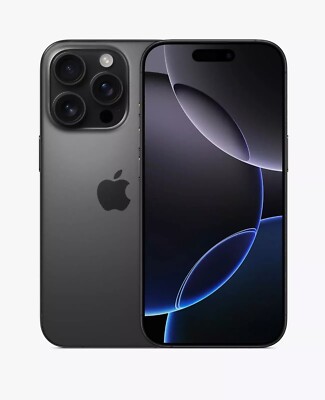 Apple iPhone 16 Pro Max 256GB Titan Schwarz Differenzbesteuert