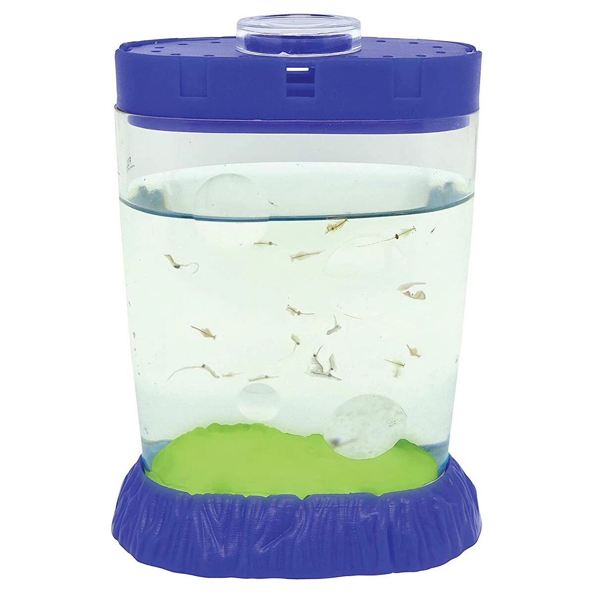 Sea Monkey Magiquarium 