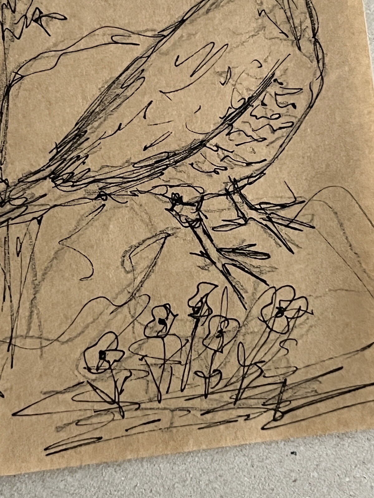 Picture 11 of 11