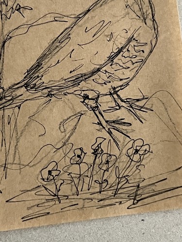 Bird Art Bird Drawing Bird Sketch Liner Ink Pencil Art Original Signed Art 4x6” - Picture 11 of 11