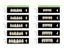 JMU Dental Acrylic Resin Denture False Teeth A2 T6 Synthetic Polyme 28Pcs/Set