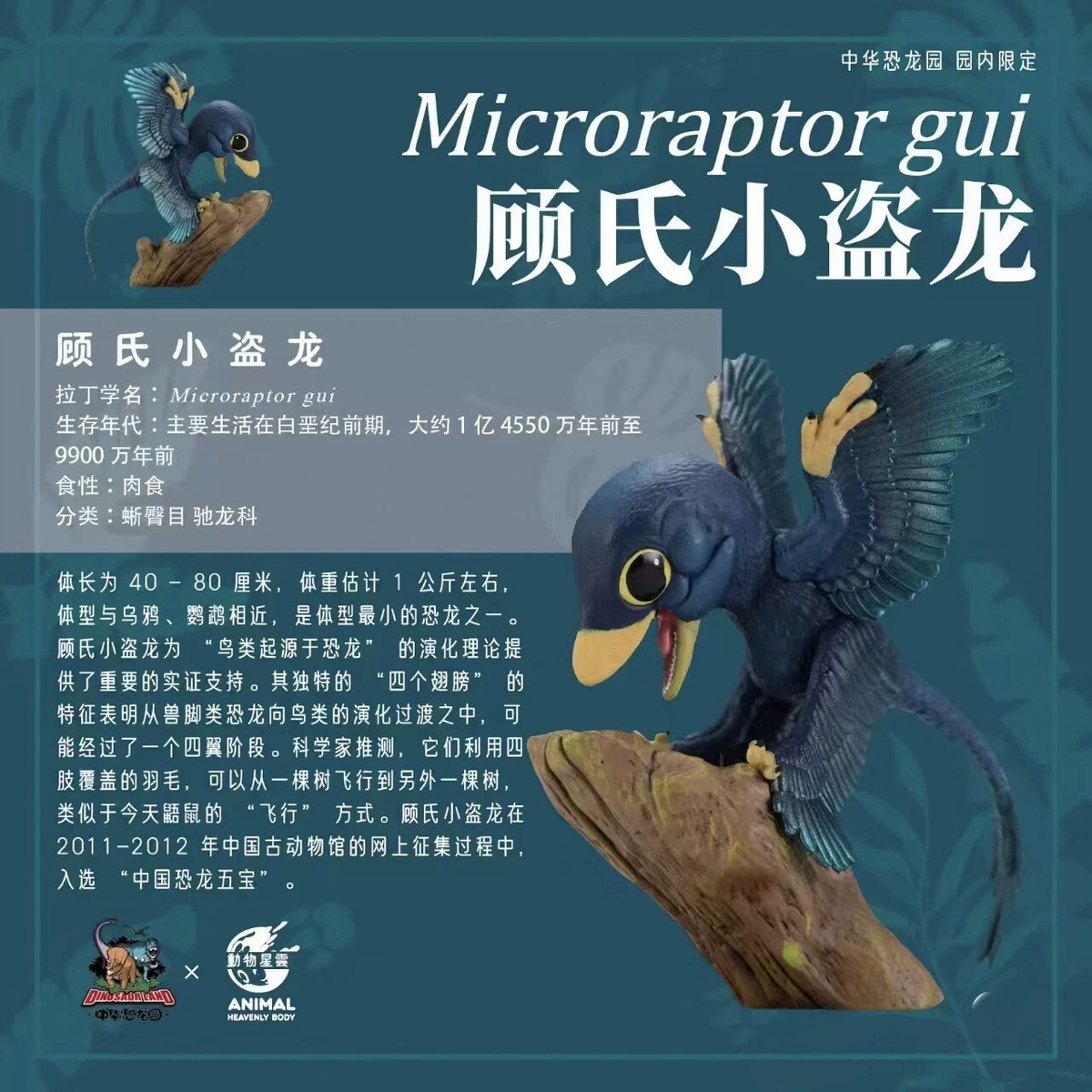 Animal Plants Microraptor Zhaoianus Animal Heavenly Body Collect