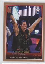 2015 Topps WWE Road to Wrestlemania Bronze Adam Rose #17 0c4