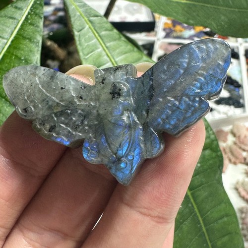 Labradorita Natural Cara Fantasma Polilla Espécimen Cuarzo Calavera Cristal Reiki Curación - Imagen 9 de 20
