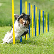 Dog Agility Training Equipment for Dog Obstacle Course Backyard 12Pcs Weave Pole