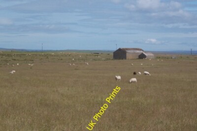 Foto 6x4 Feld, Muckle Ocklester Upper Sanday ein rautenförmiges Feld mit c2015