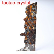 Brenham pallasite meteorite etched full slice Weight 61.9Ct USA TT1228