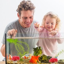  10 Pcs Piante Per Acquari in Plastica Finte Acquario Artificiali Dell'acquario