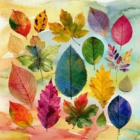 20 Servietten Pressed Autumn Leaves Farbenfrohe BläTtervielfalt Herbst 33X33Cm